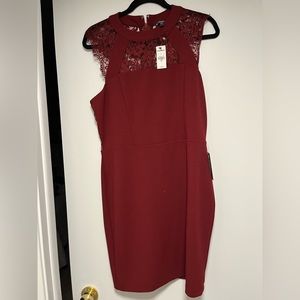 Express Knee Length Dress
